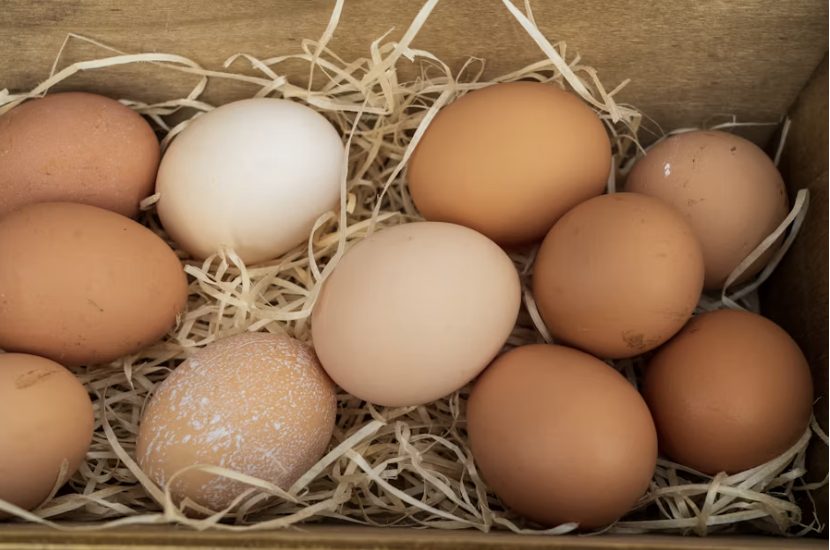 Where to Find Farm-Fresh Eggs in Northwest Arkansas