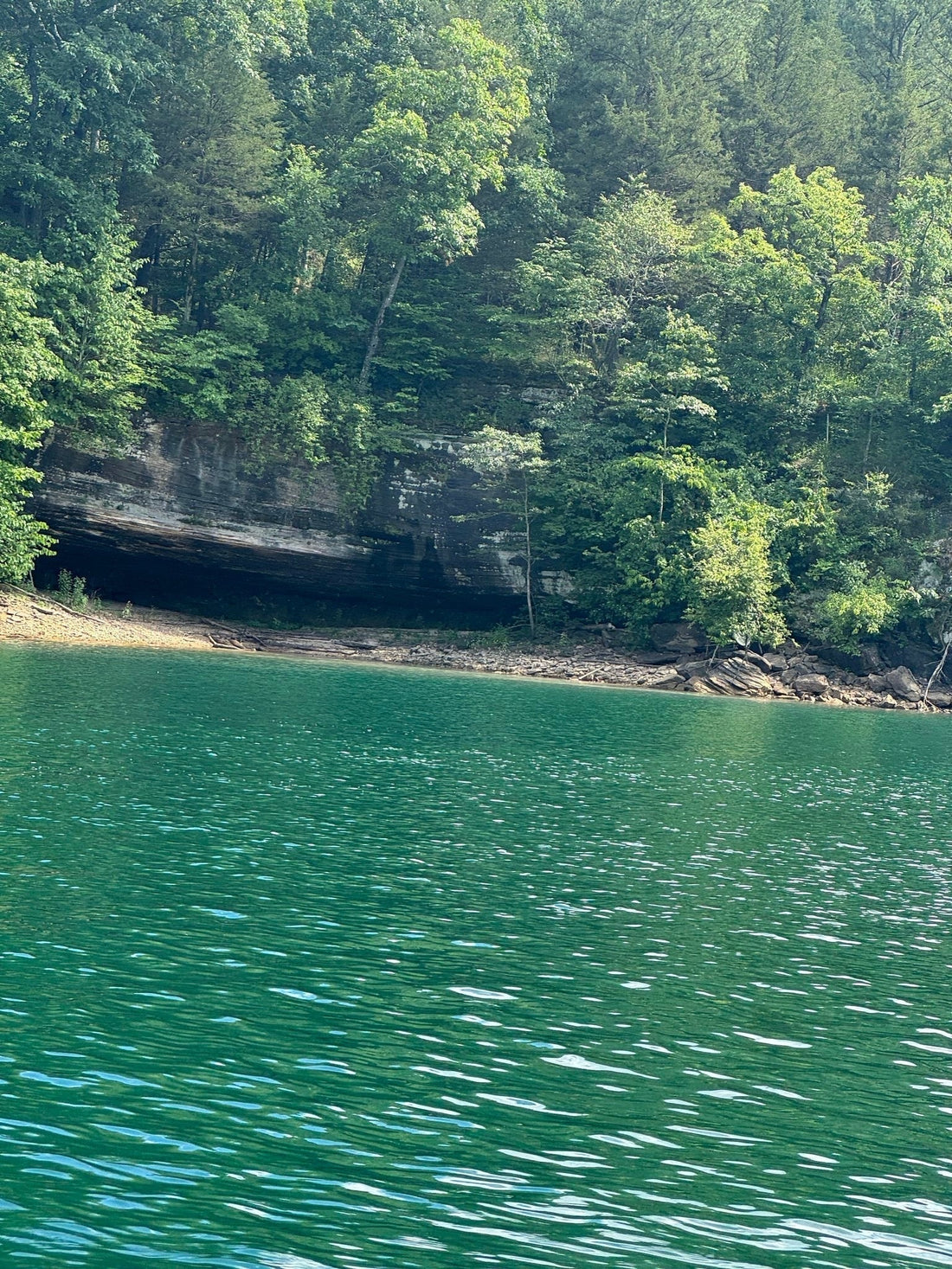 Explore Beaver Lake